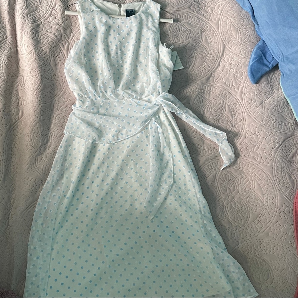 COPY - COPY - Gabby Style Cream White with BabyBlue Dots Dress Size: 6 (small)